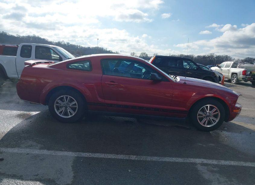 Photo 13 of 2005 Ford Mustang V6 DELUXE/V6 PREMIUM (VIN 1ZVFT80N155128881)