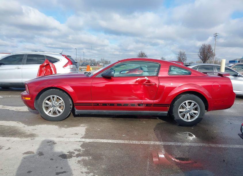 Photo 14 of 2005 Ford Mustang V6 DELUXE/V6 PREMIUM (VIN 1ZVFT80N155128881)