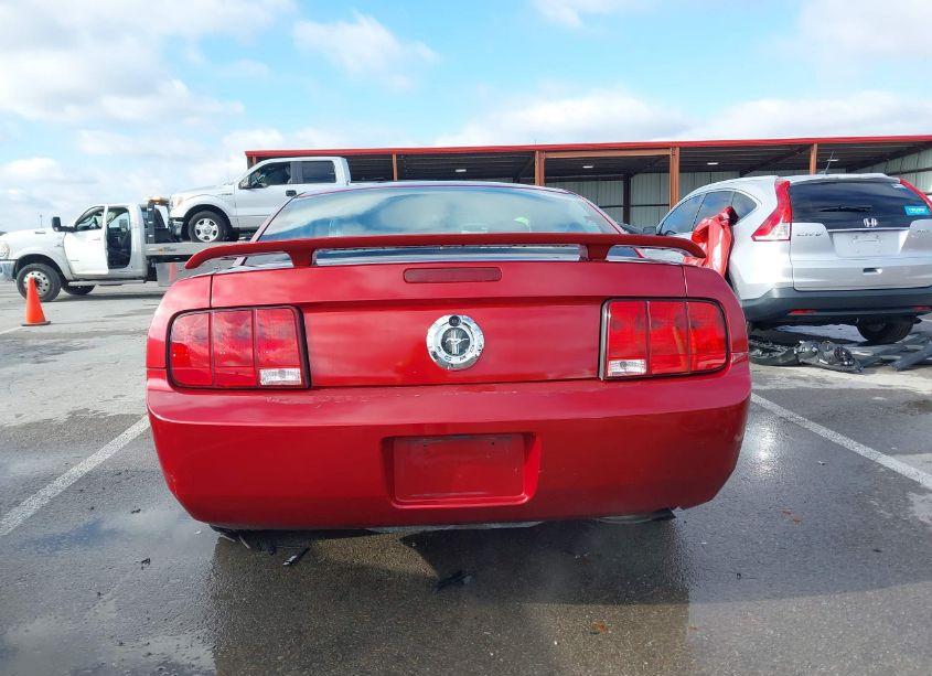 Photo 16 of 2005 Ford Mustang V6 DELUXE/V6 PREMIUM (VIN 1ZVFT80N155128881)