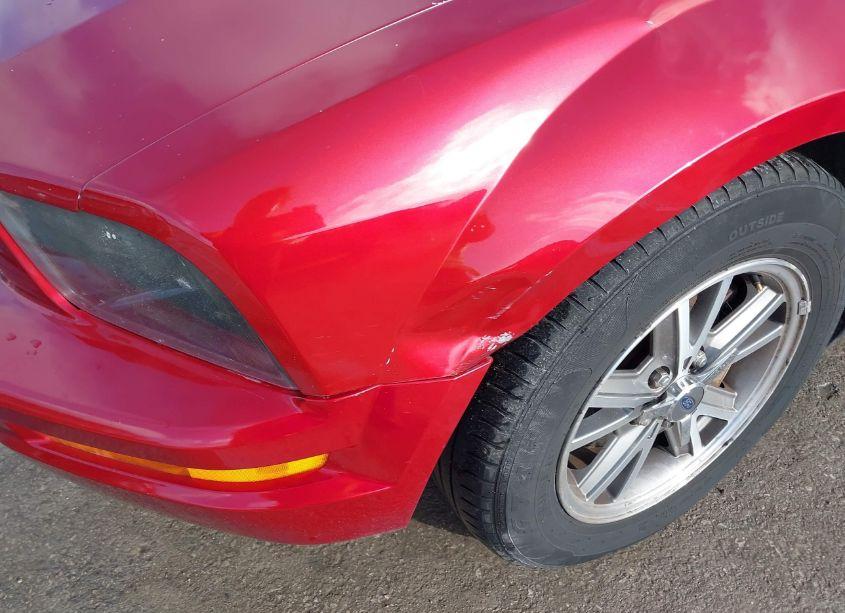 Photo 17 of 2005 Ford Mustang V6 DELUXE/V6 PREMIUM (VIN 1ZVFT80N155128881)