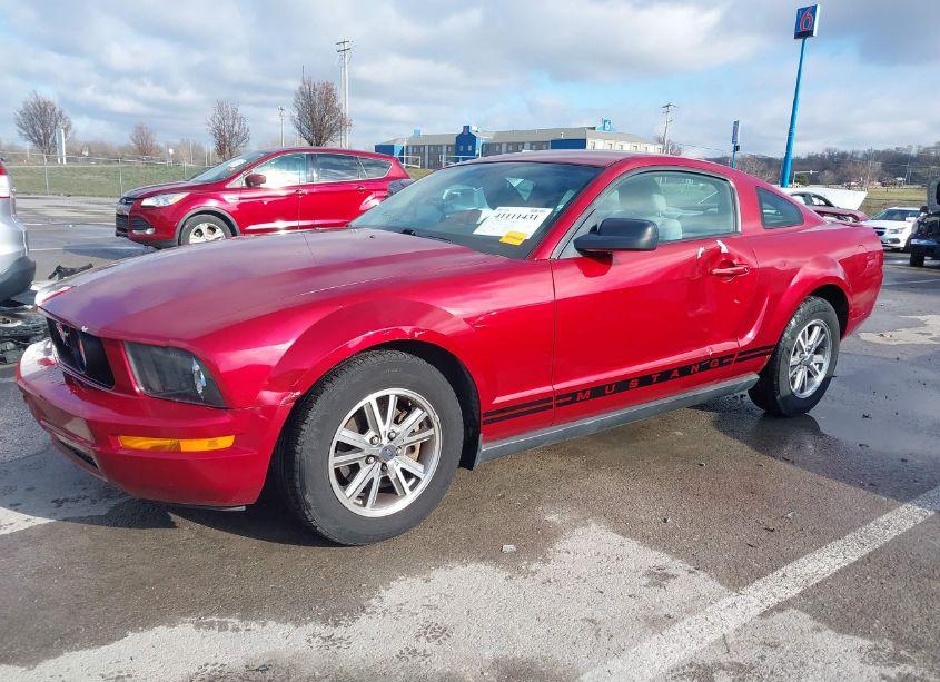 Photo 2 of 2005 Ford Mustang V6 DELUXE/V6 PREMIUM (VIN 1ZVFT80N155128881)