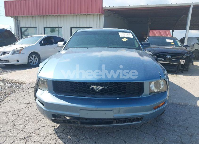 Photo 12 of 2005 Ford Mustang V6 DELUXE/V6 PREMIUM (VIN 1ZVFT80N155168894)