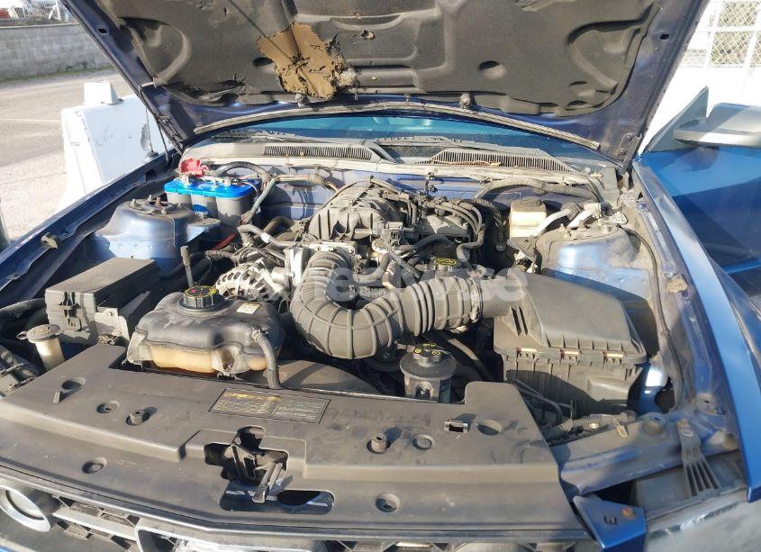 Photo 10 of 2006 Ford Mustang V6 (VIN 1ZVFT80N165182375)