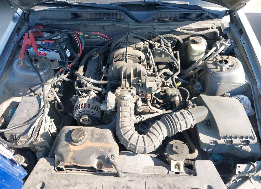 Photo 10 of 2007 Ford Mustang V6 DELUXE/V6 PREMIUM (VIN 1ZVFT80N175199906)