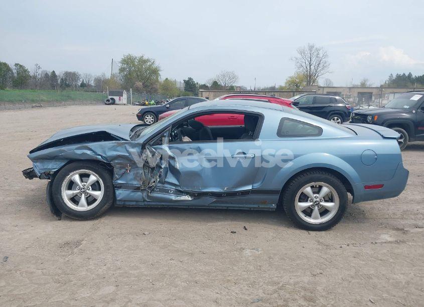 Photo 15 of 2007 Ford Mustang V6 DELUXE/V6 PREMIUM (VIN 1ZVFT80N175266312)