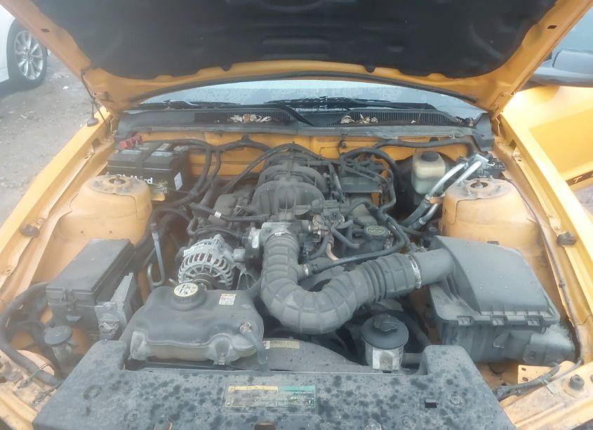 Photo 10 of 2007 Ford Mustang V6 DELUXE/V6 PREMIUM (VIN 1ZVFT80N175344717)