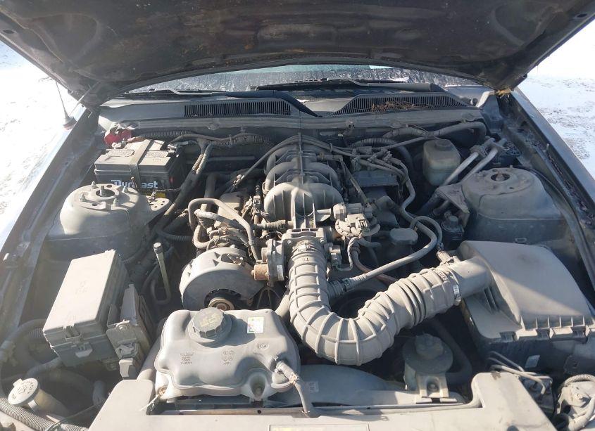 Photo 10 of 2005 Ford Mustang V6 DELUXE/V6 PREMIUM (VIN 1ZVFT80N255114665)