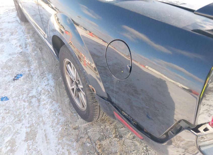 Photo 12 of 2005 Ford Mustang V6 DELUXE/V6 PREMIUM (VIN 1ZVFT80N255114665)