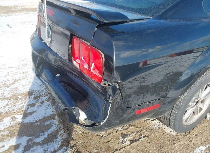 Photo 13 of 2005 Ford Mustang V6 DELUXE/V6 PREMIUM (VIN 1ZVFT80N255114665)