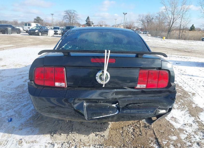 Photo 6 of 2005 Ford Mustang V6 DELUXE/V6 PREMIUM (VIN 1ZVFT80N255114665)