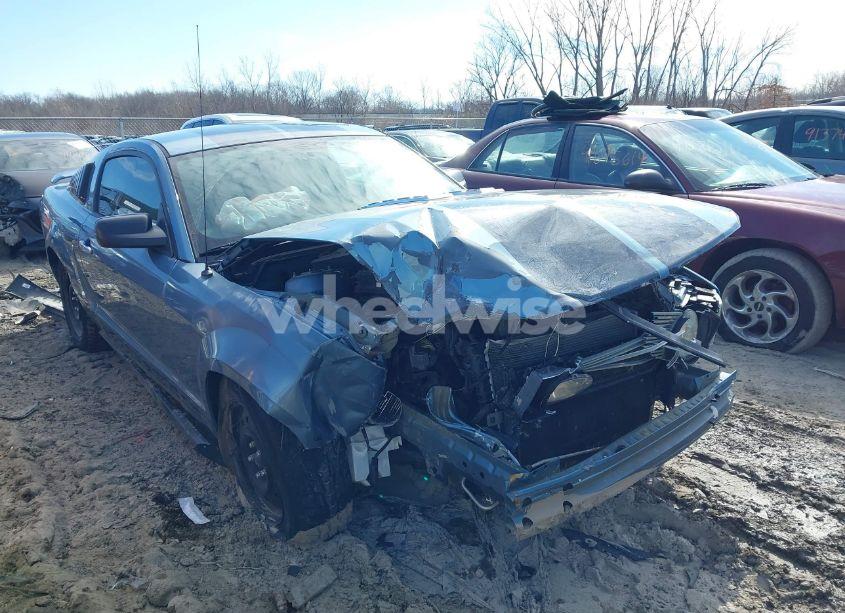 2005 Ford Mustang V6 DELUXE/V6 PREMIUM (VIN 1ZVFT80N255116500) main photo