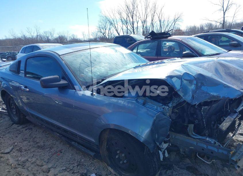 Photo 13 of 2005 Ford Mustang V6 DELUXE/V6 PREMIUM (VIN 1ZVFT80N255116500)