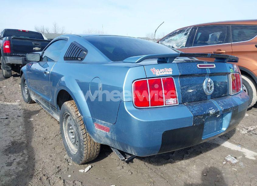 Photo 3 of 2005 Ford Mustang V6 DELUXE/V6 PREMIUM (VIN 1ZVFT80N255116500)