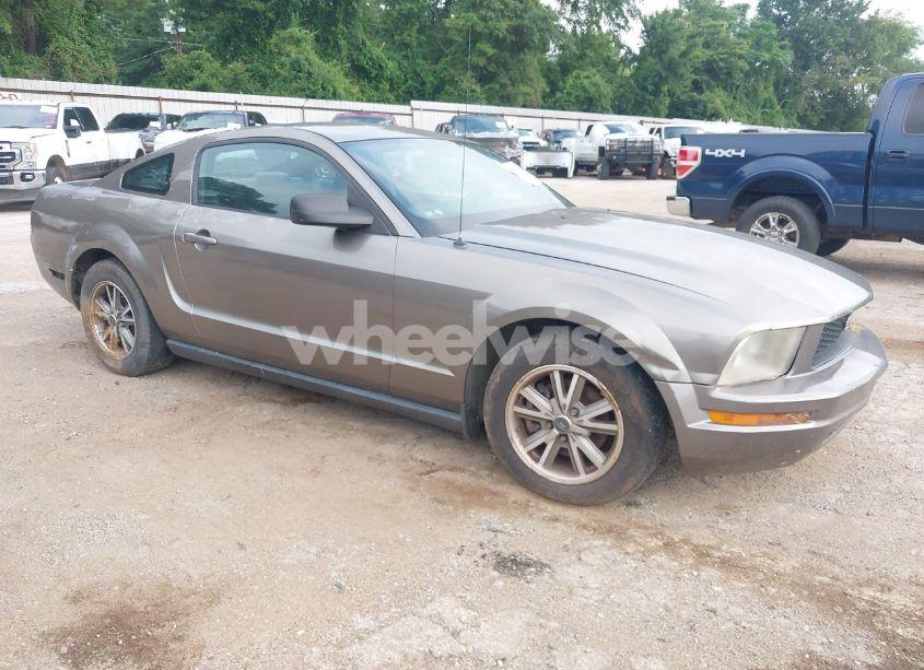 2005 Ford Mustang (VIN 1ZVFT80N255121745) main photo