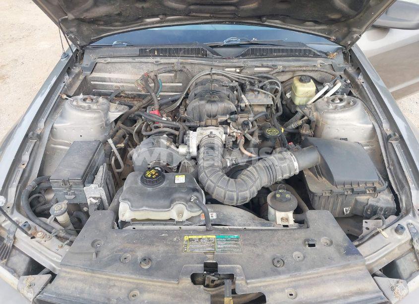 Photo 10 of 2005 Ford Mustang (VIN 1ZVFT80N255121745)