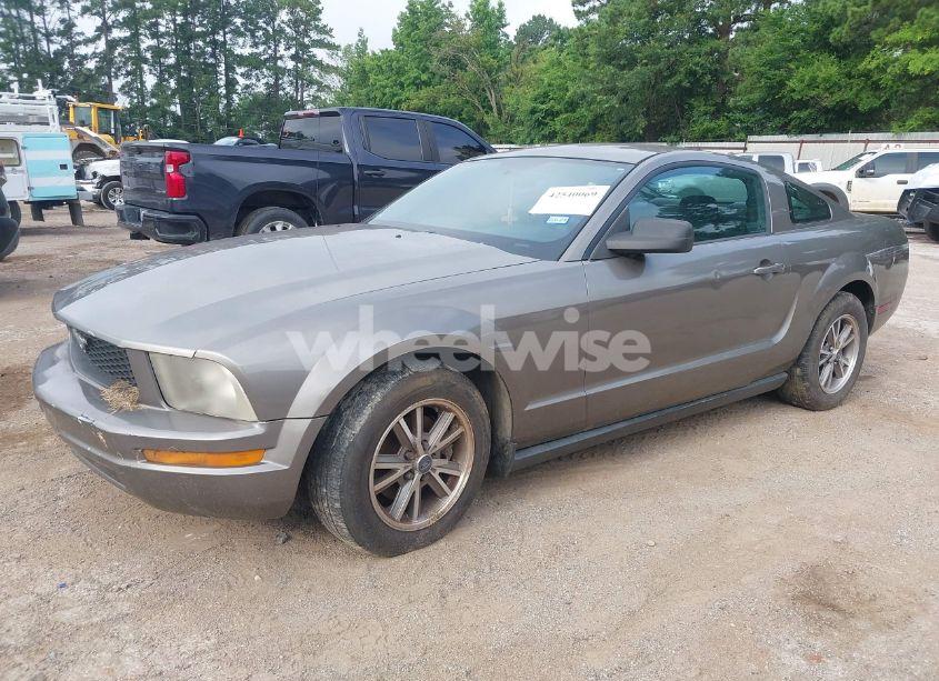 Photo 2 of 2005 Ford Mustang (VIN 1ZVFT80N255121745)