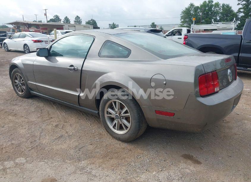 Photo 3 of 2005 Ford Mustang (VIN 1ZVFT80N255121745)