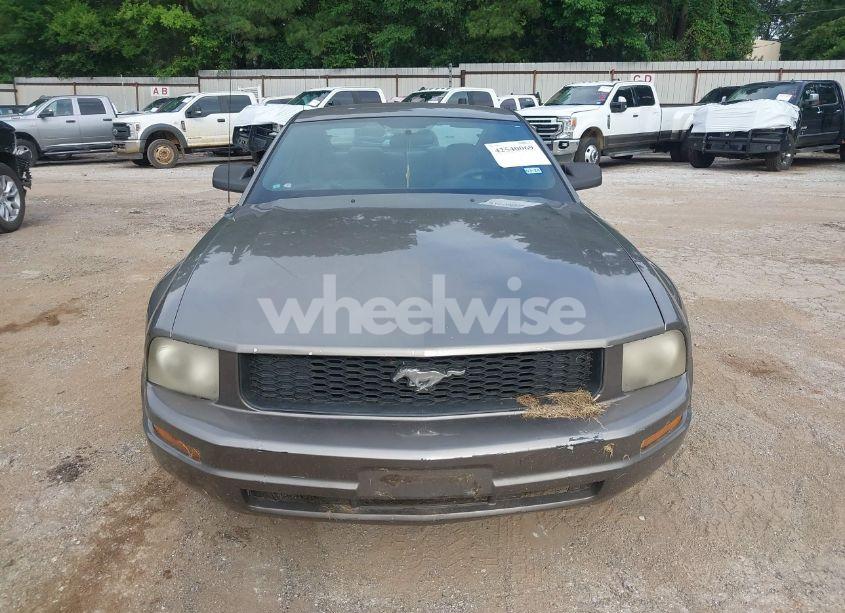 Photo 6 of 2005 Ford Mustang (VIN 1ZVFT80N255121745)