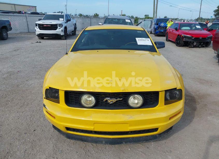 Photo 12 of 2005 Ford Mustang V6 DELUXE/V6 PREMIUM (VIN 1ZVFT80N255136181)