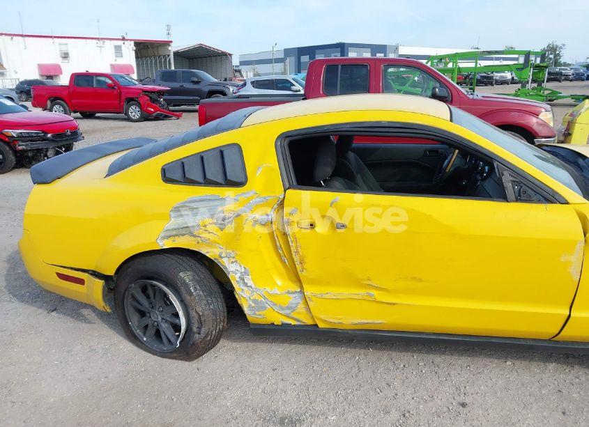 Photo 6 of 2005 Ford Mustang V6 DELUXE/V6 PREMIUM (VIN 1ZVFT80N255136181)