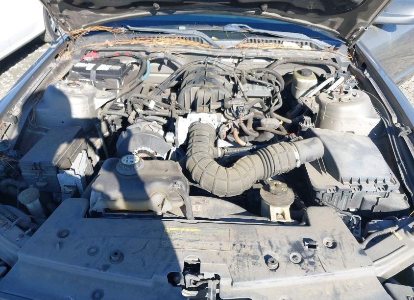 Photo 10 of 2005 Ford Mustang V6 DELUXE/V6 PREMIUM (VIN 1ZVFT80N255139632)