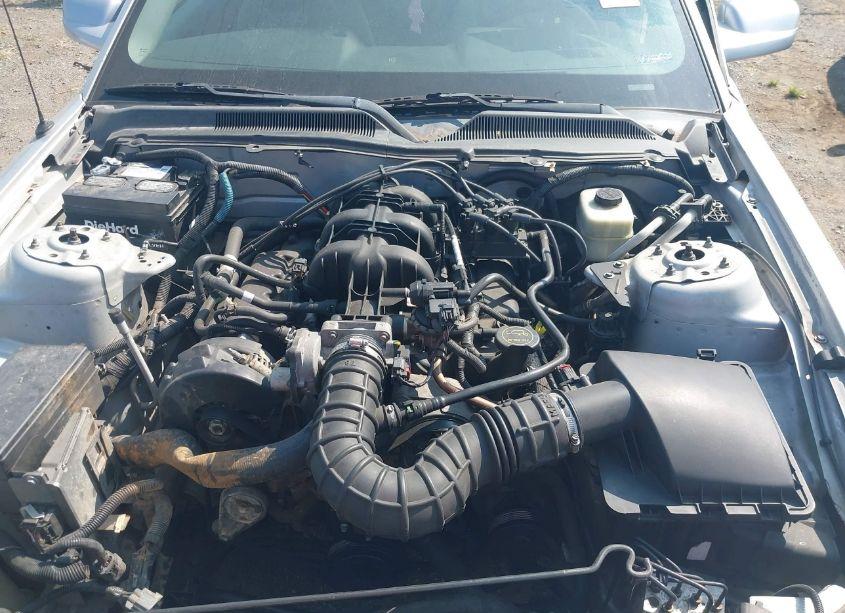 Photo 10 of 2005 Ford Mustang V6 DELUXE/V6 PREMIUM (VIN 1ZVFT80N255154745)