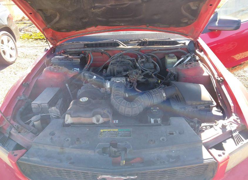 Photo 10 of 2005 Ford Mustang V6 DELUXE/V6 PREMIUM (VIN 1ZVFT80N255170847)