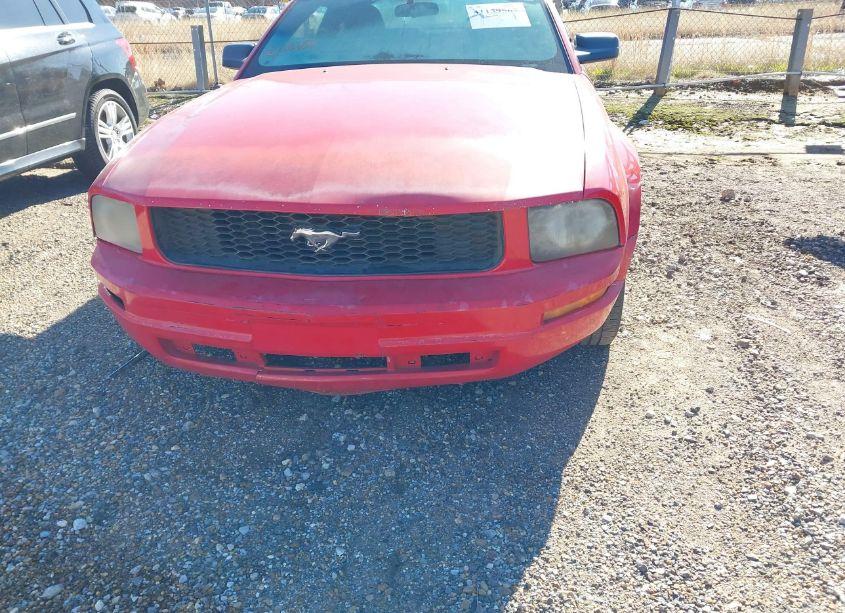 Photo 6 of 2005 Ford Mustang V6 DELUXE/V6 PREMIUM (VIN 1ZVFT80N255170847)