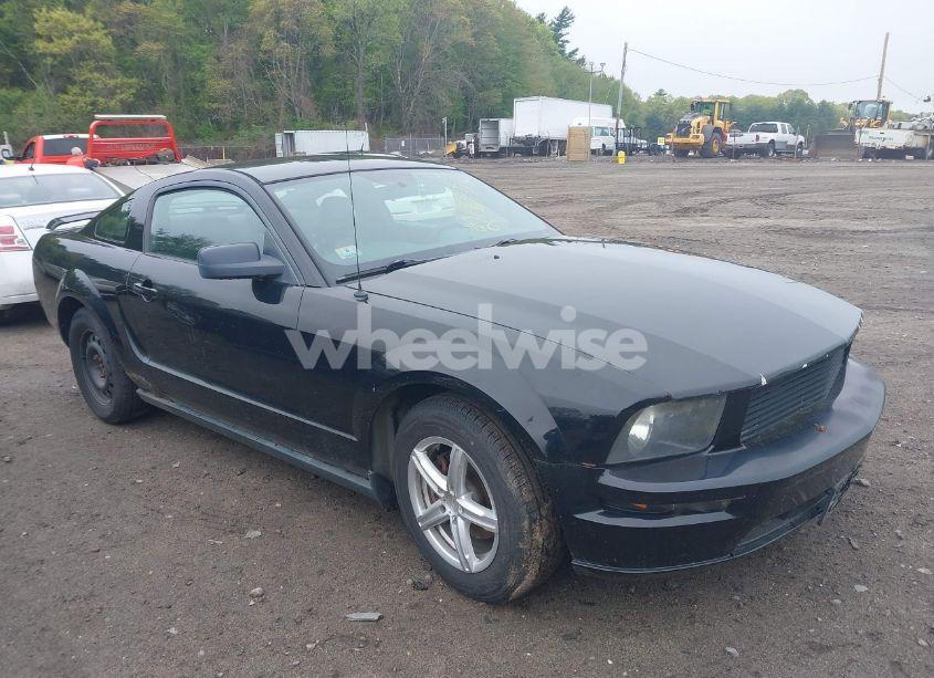 2005 Ford Mustang V6 DELUXE/V6 PREMIUM (VIN 1ZVFT80N255229296) main photo