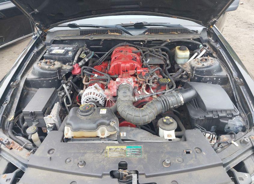 Photo 10 of 2005 Ford Mustang V6 DELUXE/V6 PREMIUM (VIN 1ZVFT80N255229296)