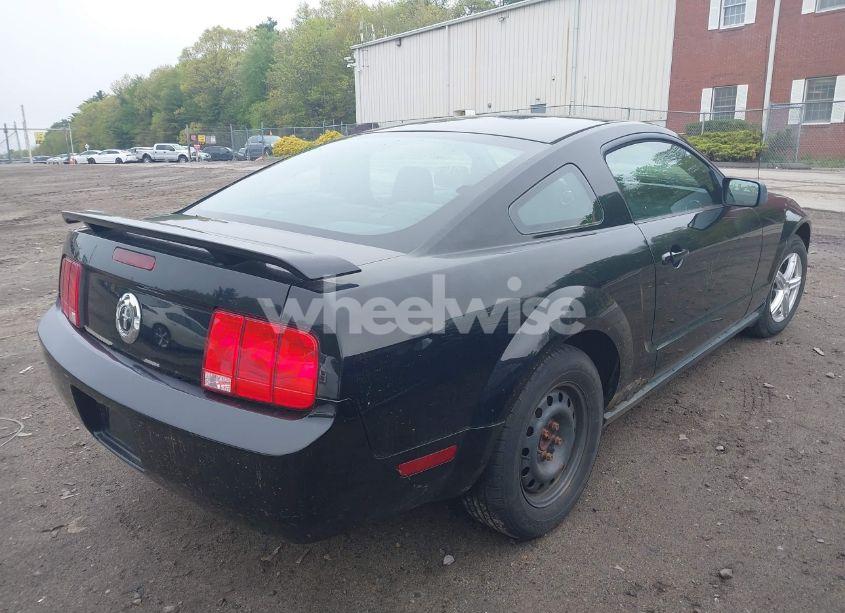 Photo 4 of 2005 Ford Mustang V6 DELUXE/V6 PREMIUM (VIN 1ZVFT80N255229296)