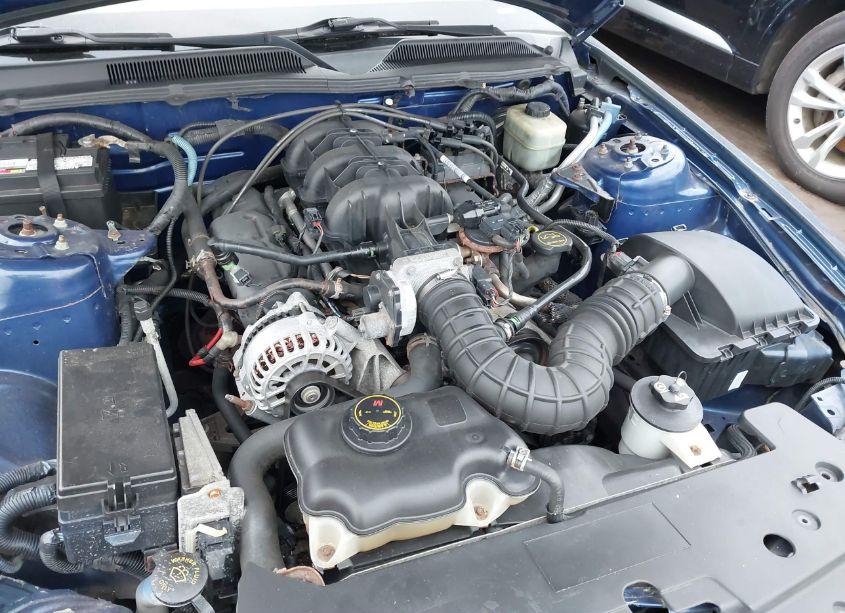 Photo 10 of 2006 Ford Mustang V6 (VIN 1ZVFT80N265127997)