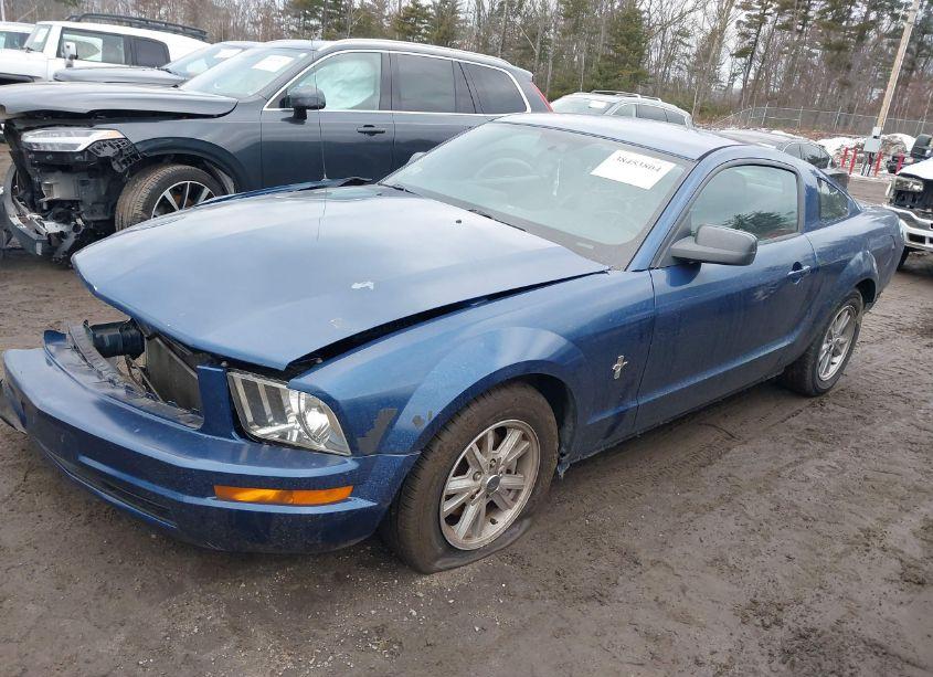 Photo 2 of 2006 Ford Mustang V6 (VIN 1ZVFT80N265127997)