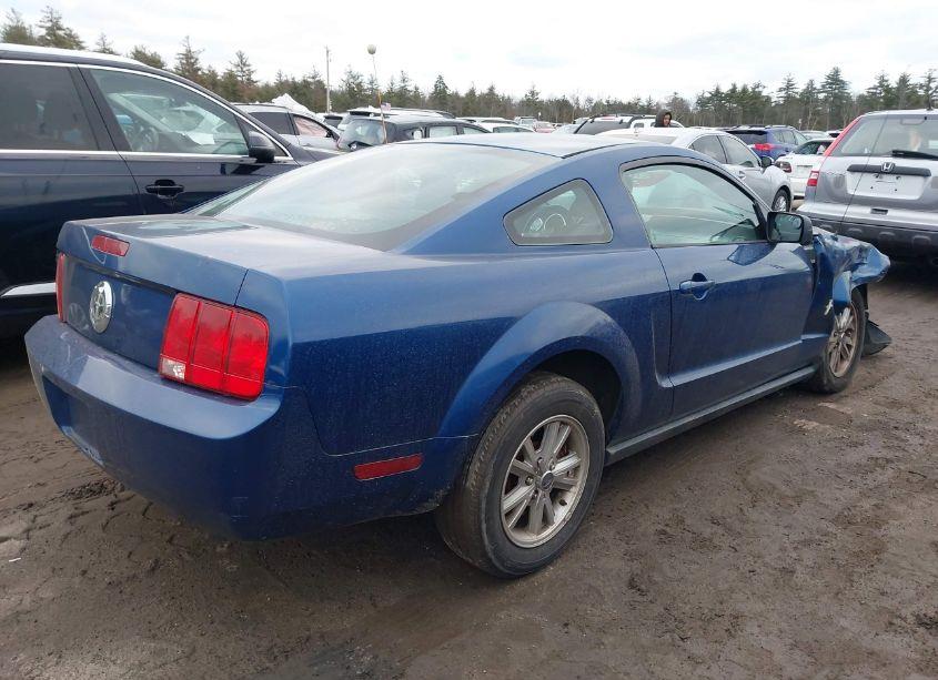 Photo 4 of 2006 Ford Mustang V6 (VIN 1ZVFT80N265127997)