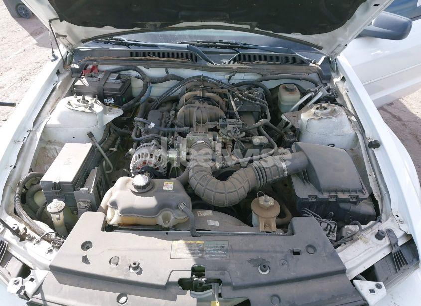 Photo 10 of 2006 Ford Mustang V6 (VIN 1ZVFT80N265161082)