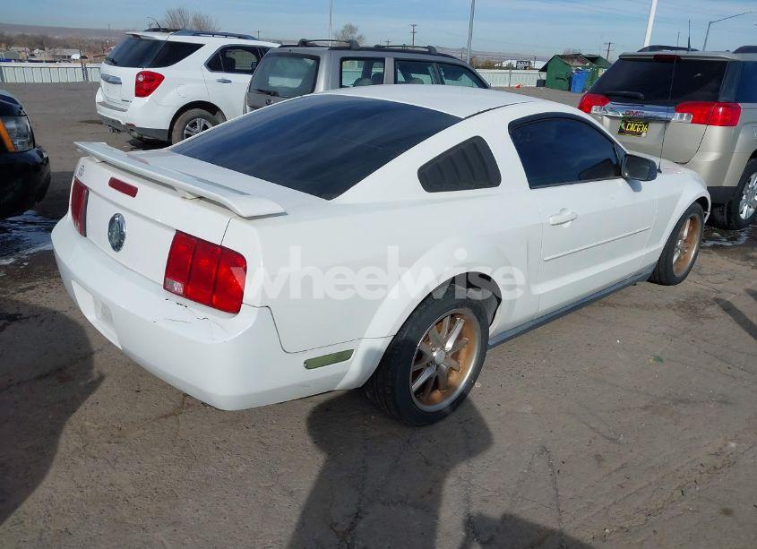 Photo 4 of 2006 Ford Mustang V6 (VIN 1ZVFT80N265161082)