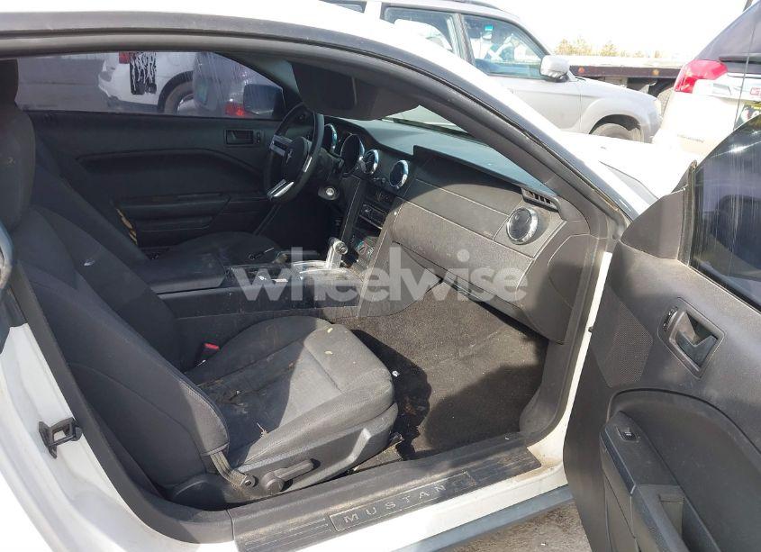 Photo 5 of 2006 Ford Mustang V6 (VIN 1ZVFT80N265161082)