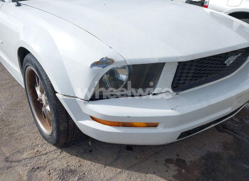 Photo 6 of 2006 Ford Mustang V6 (VIN 1ZVFT80N265161082)