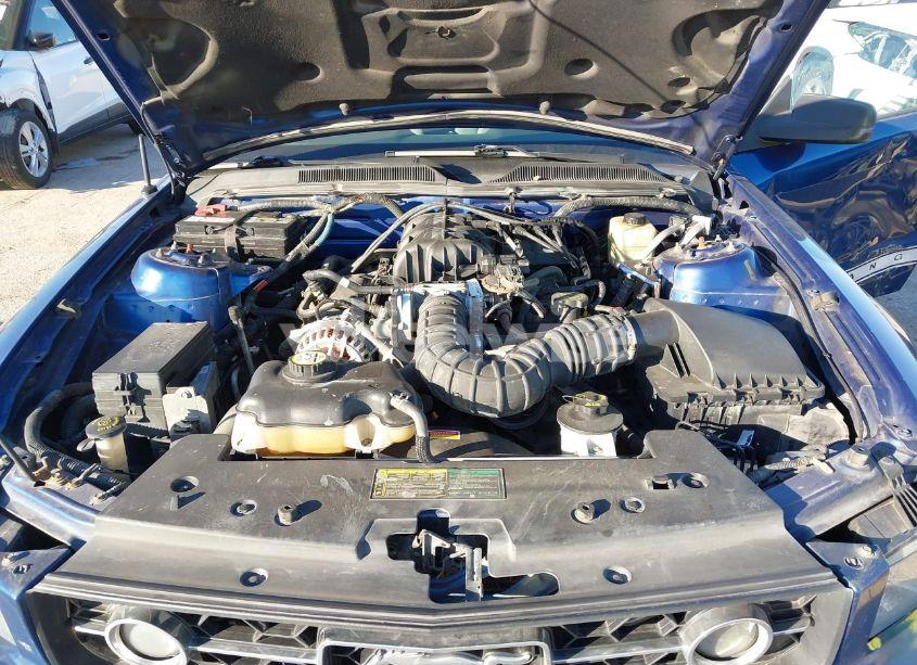 Photo 10 of 2006 Ford Mustang V6 (VIN 1ZVFT80N265181946)