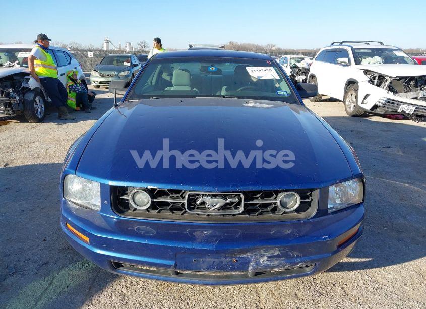 Photo 12 of 2006 Ford Mustang V6 (VIN 1ZVFT80N265181946)