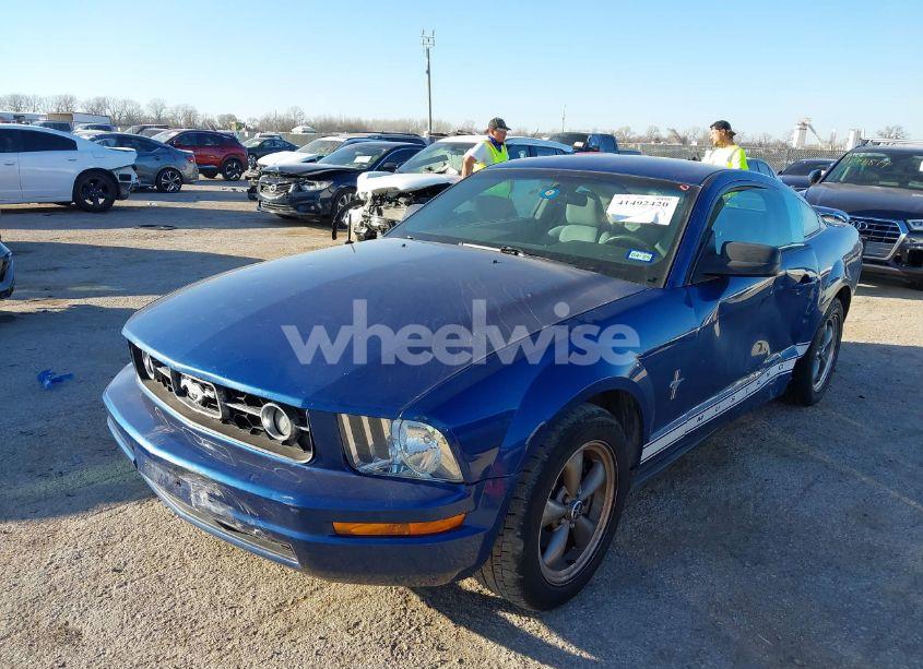Photo 2 of 2006 Ford Mustang V6 (VIN 1ZVFT80N265181946)