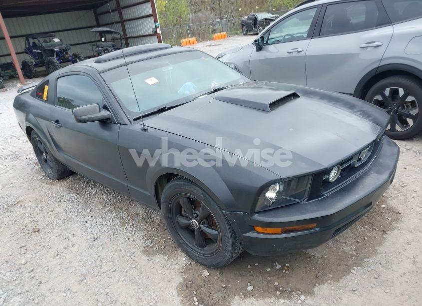 2006 Ford Mustang V6 (VIN 1ZVFT80N265218509) main photo