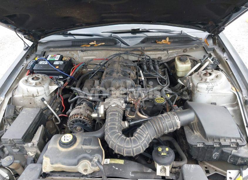 Photo 10 of 2006 Ford Mustang V6 (VIN 1ZVFT80N265218509)
