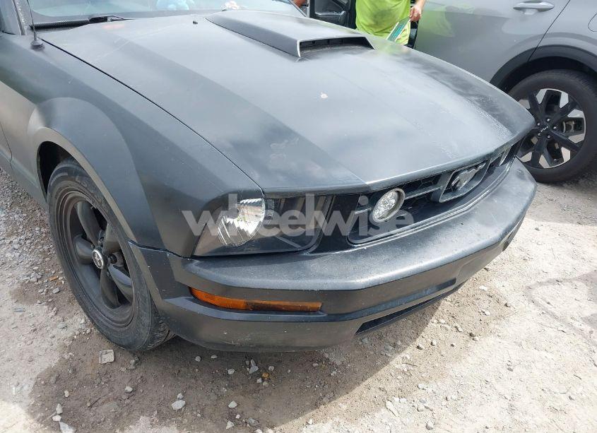 Photo 6 of 2006 Ford Mustang V6 (VIN 1ZVFT80N265218509)
