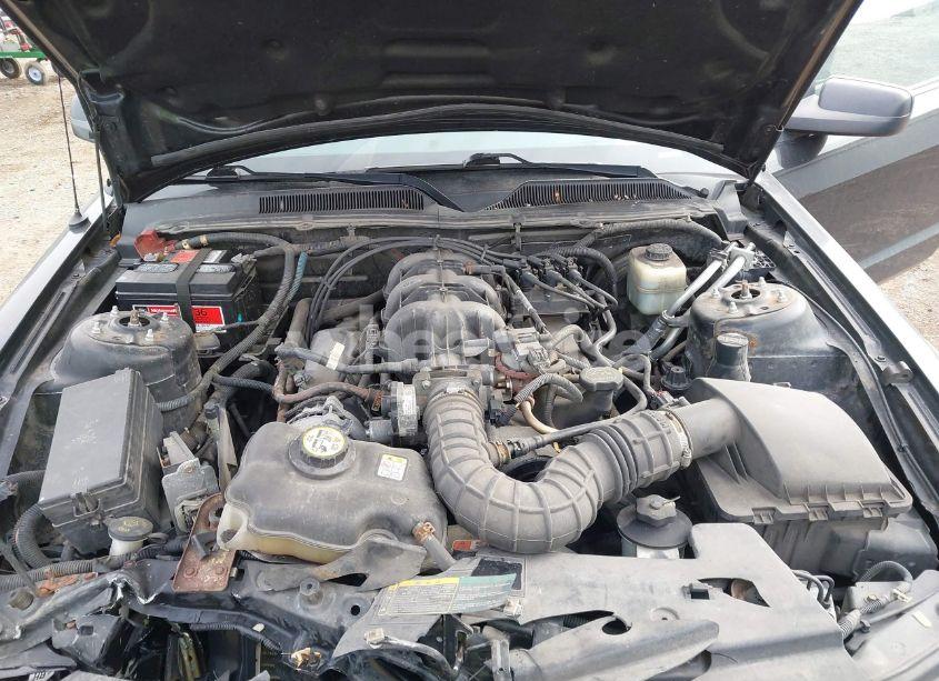 Photo 10 of 2007 Ford Mustang V6 DELUXE/V6 PREMIUM (VIN 1ZVFT80N275239376)