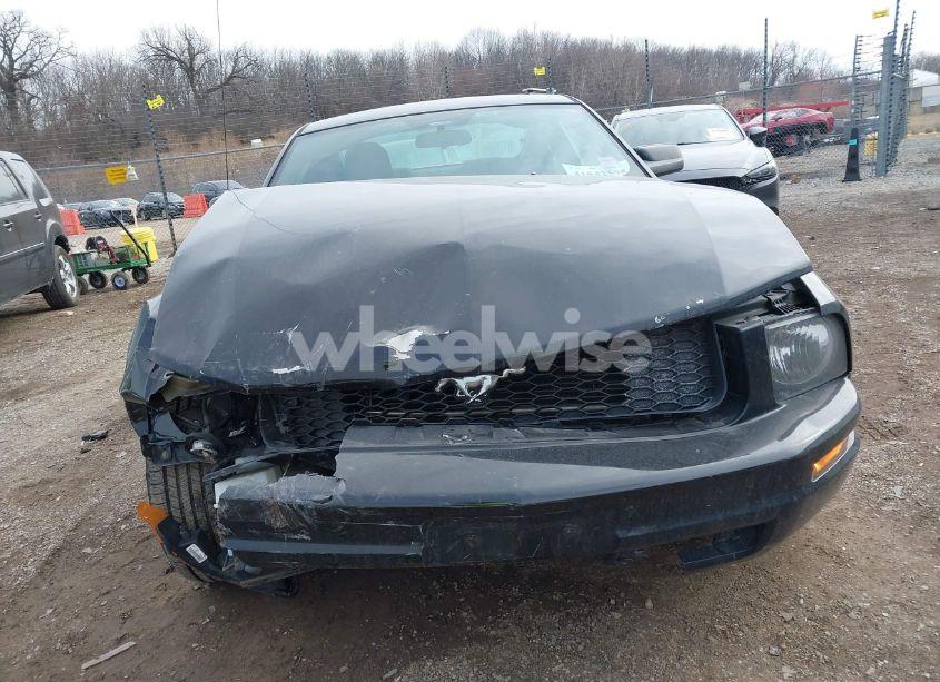 Photo 12 of 2007 Ford Mustang V6 DELUXE/V6 PREMIUM (VIN 1ZVFT80N275239376)