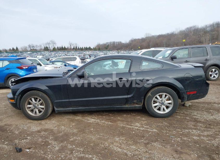 Photo 14 of 2007 Ford Mustang V6 DELUXE/V6 PREMIUM (VIN 1ZVFT80N275239376)