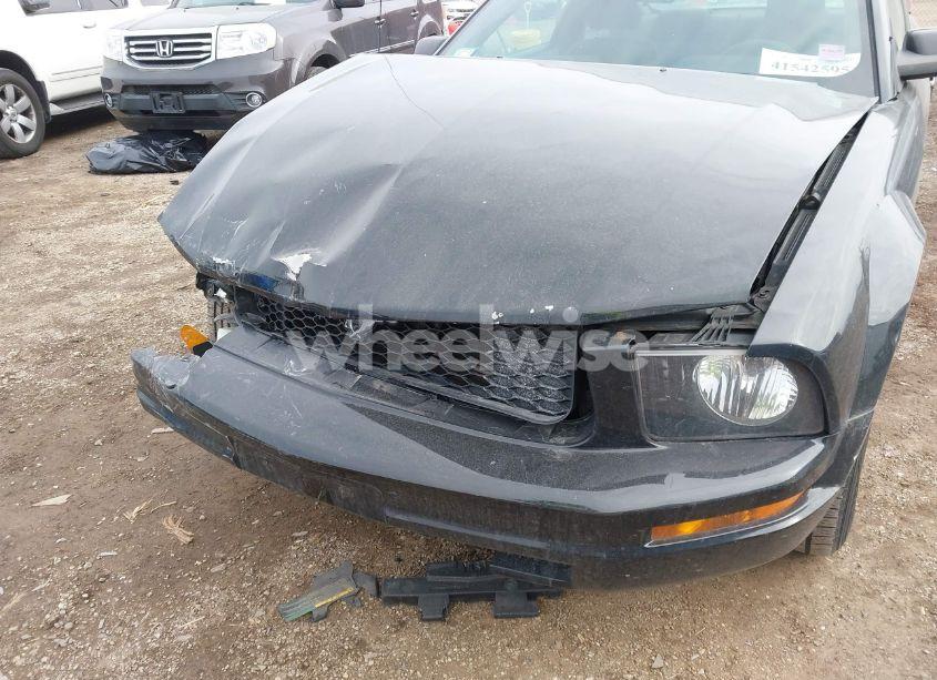 Photo 6 of 2007 Ford Mustang V6 DELUXE/V6 PREMIUM (VIN 1ZVFT80N275239376)