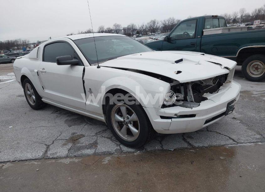2007 Ford Mustang V6 DELUXE/V6 PREMIUM (VIN 1ZVFT80N275242987) main photo