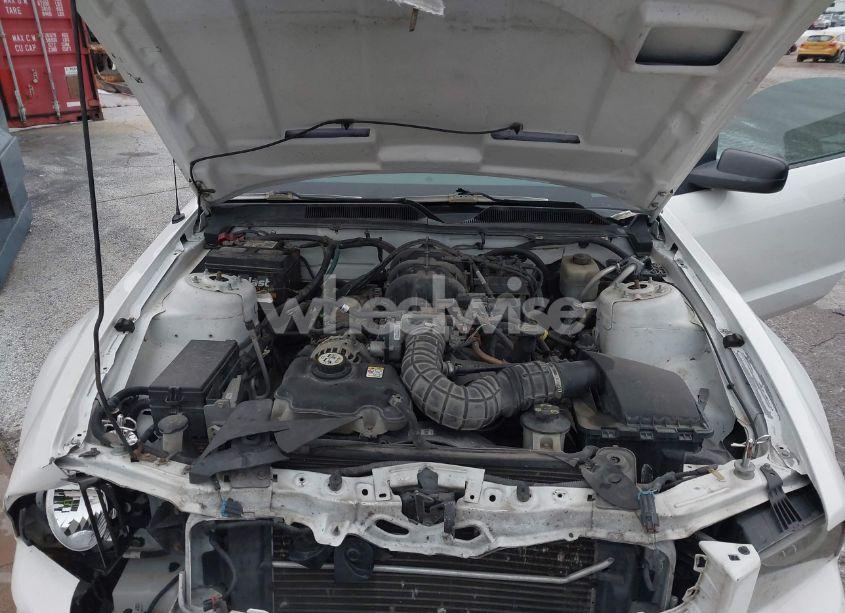 Photo 10 of 2007 Ford Mustang V6 DELUXE/V6 PREMIUM (VIN 1ZVFT80N275242987)